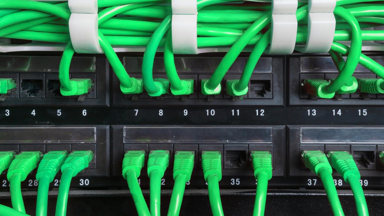 Une photo montrant des câbles ethernet verts branchés dans un serveur web. Une photo montrant des câbles ethernet verts branchés dans un serveur web.