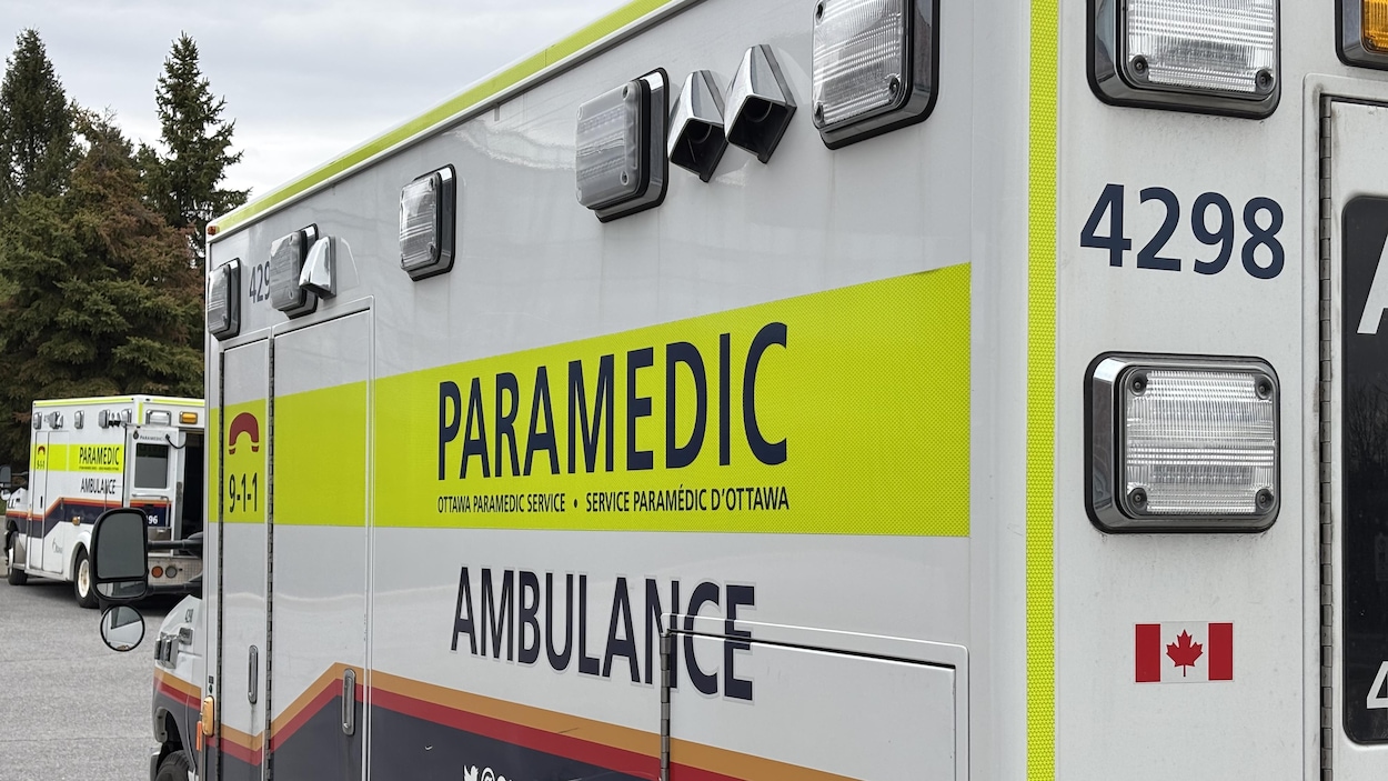 La piétonne blessée sur le chemin Fallowfield est décédée