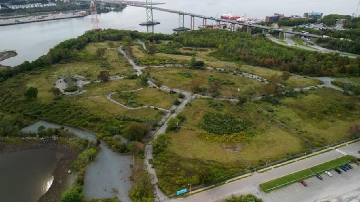 Début des travaux pour 100 logements abordables à Shannon Park