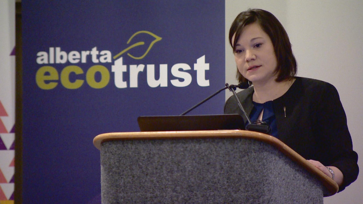 La ministre de l'Environnement Shannon Phillips