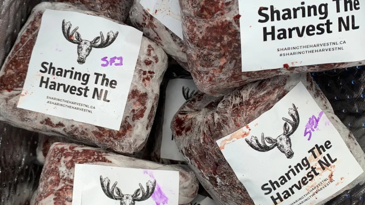 Des sacs de viande d'orignal.