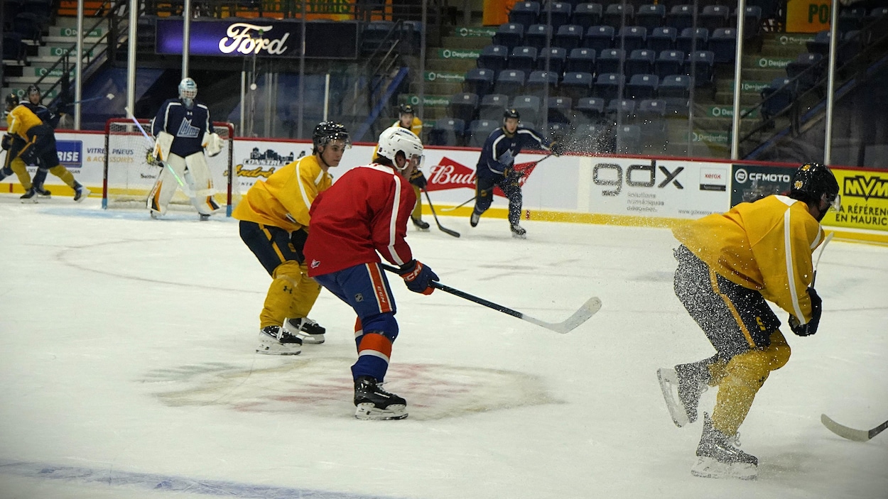 Un retour devant les partisans attendu pour les Cataractes