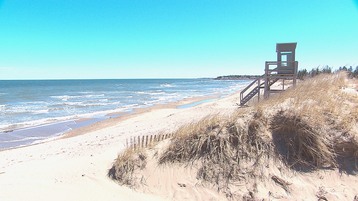 La plage et les dunes avec la mer en arrière-plan