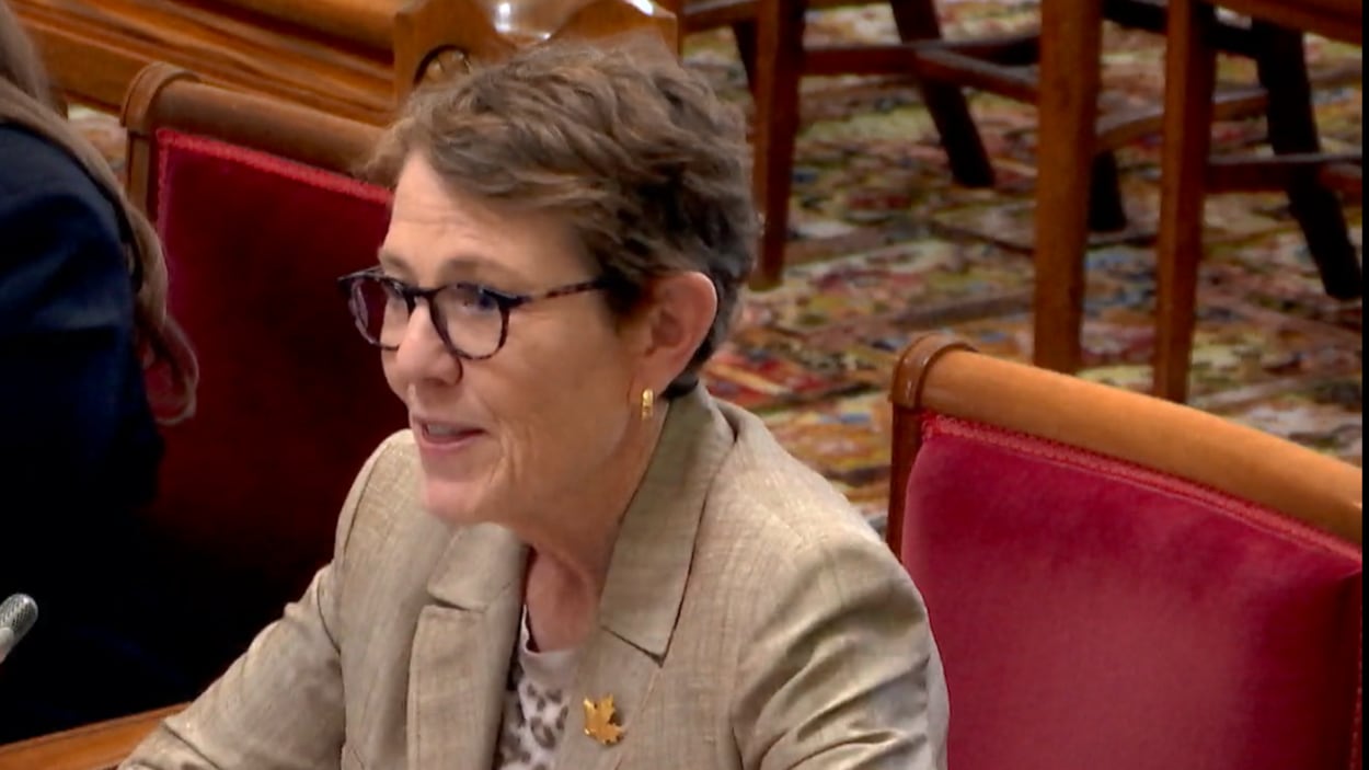 La commissaire MacLean veut élargir la Loi sur les langues officielles