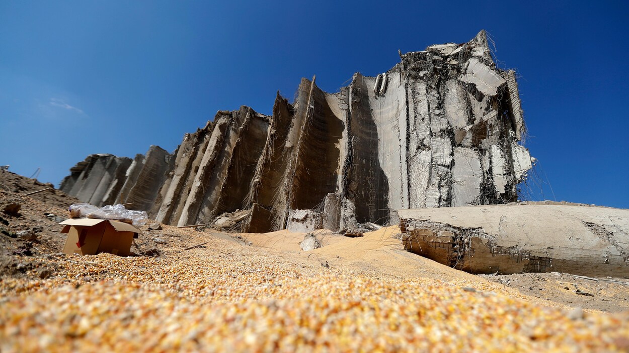 Du maïs répandu par terre, près de silos éventrés.