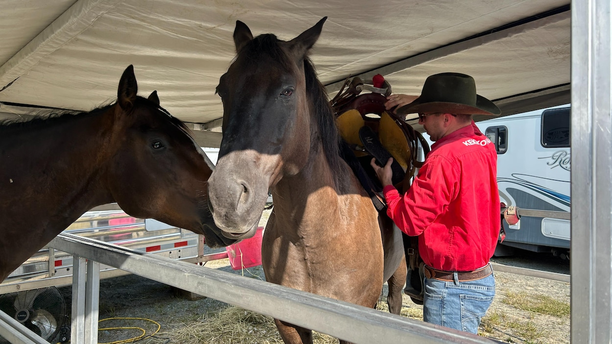 L'Équitation en Essor en Abitibi-Témiscamingue : Une Passion qui Dynamise la Région
