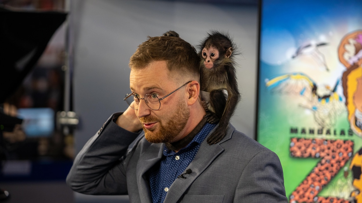Un petit singe nommé Roméo en visite dans nos studios | Radio-Canada