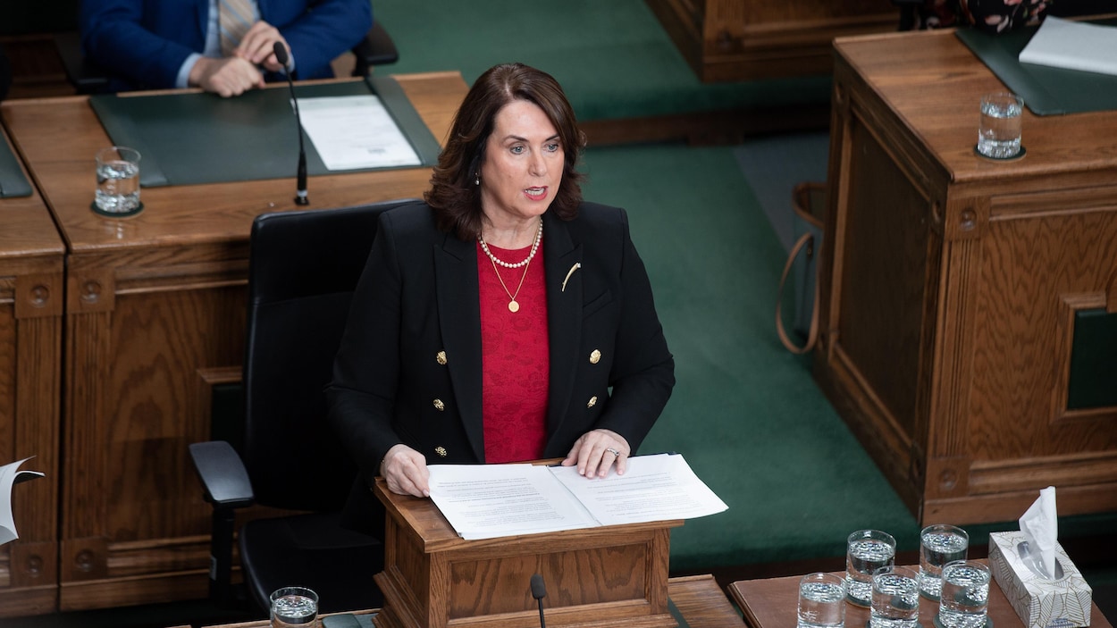 Le budget préélectoral de T.-N.-L. sauvé par les géants du tabac