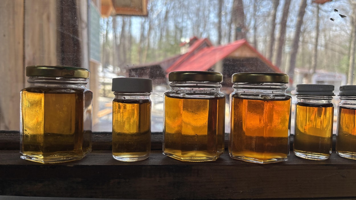 Lent début de saison pour le sirop d'érable