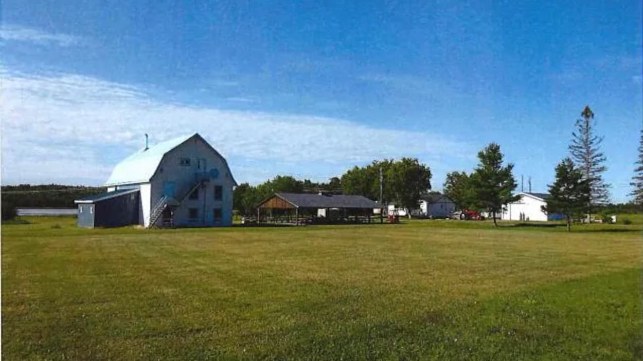 Des bâtiments sur un terrain en milieu rural.