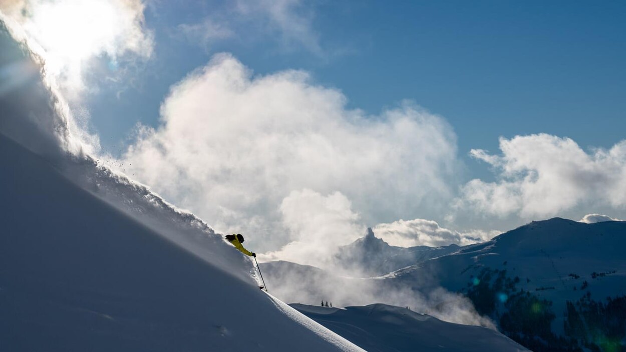 Un skieur dévale une pente de poudreuse.