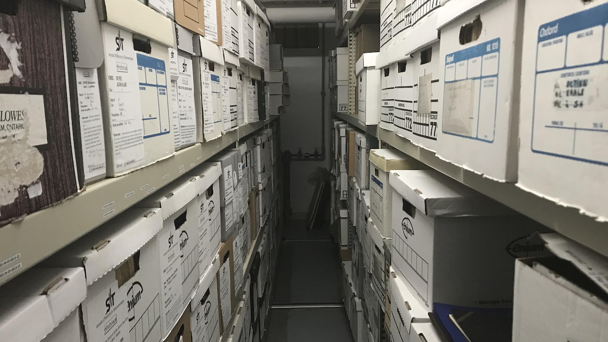 Des dizaines de boîtes de documents placées sur des étagères.