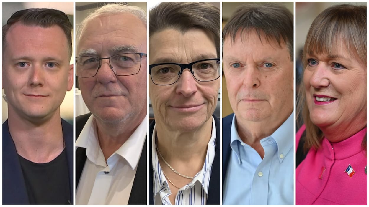 Quelques personnes lorgnent la présidence de la Société nationale de l’Acadie