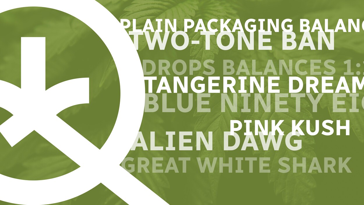 Le logo de la Société québécoise du cannabis sur fond vert avec plusieurs nom de produits en anglais comme Two-Ton Ban ou Great White Shark.