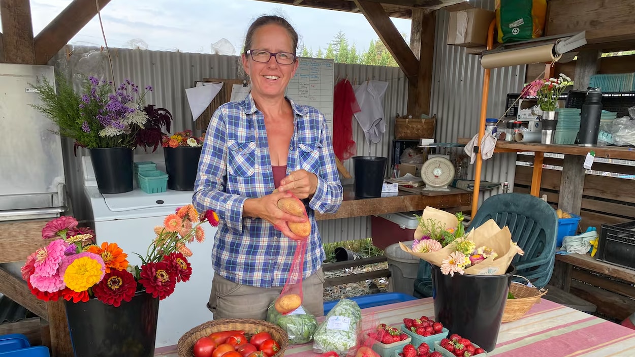 43 ans plus tard, la pomme de terre revient à Central Saanich