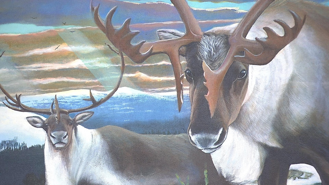 Deux caribous peints sur une toile avec à l'arrière des montagne et le ciel. Deux caribous peints sur une toile avec à l'arrière des montagne et le ciel.