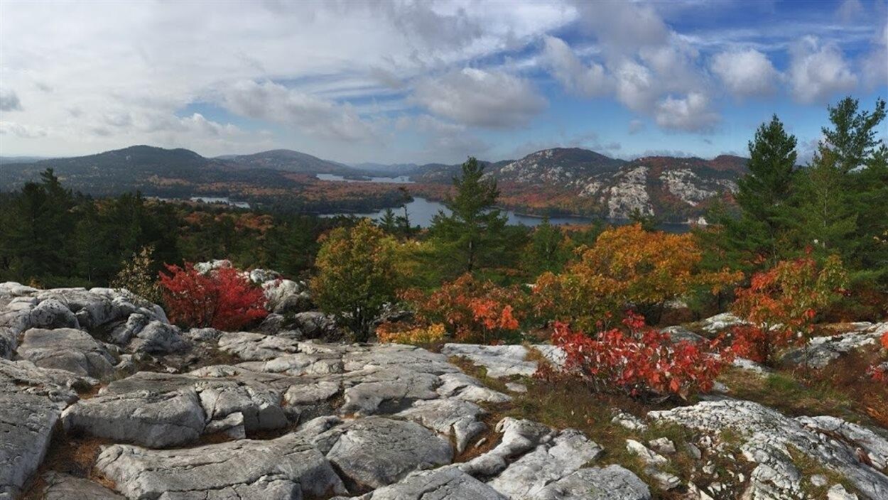 La vue des montagnes de Killarney