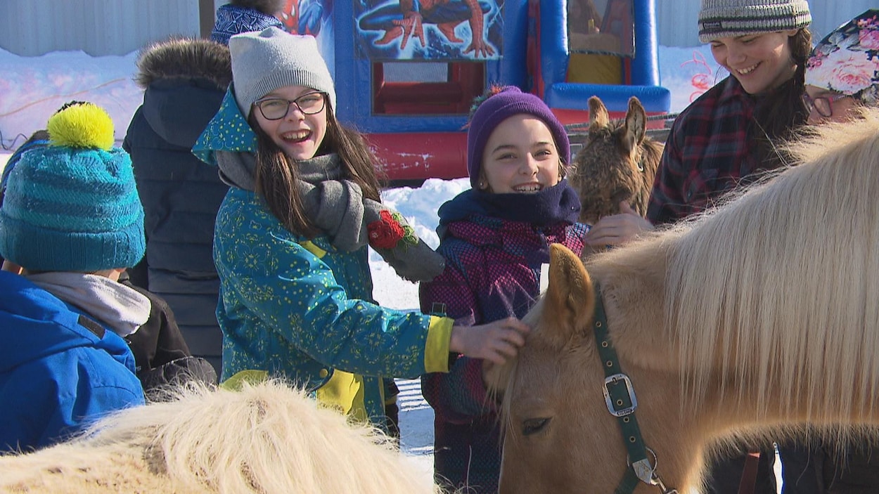 Des jeunes filles avec un cheval.