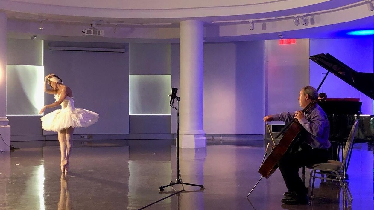 La danseuse, sur pointes, évolue sous la rotonde du Musée canadien de la nature.