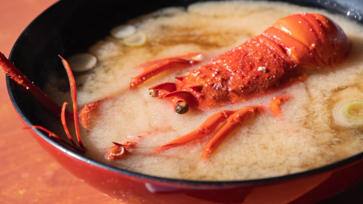 Homard canadien : « C’est la soupe du jour, l’incertitude »