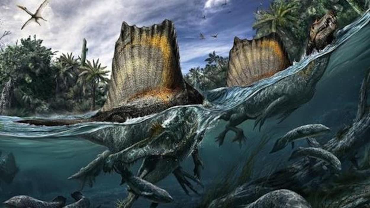 Représentation artistique de deux Spinosaurus aegyptiacus dans un cours d'eau.