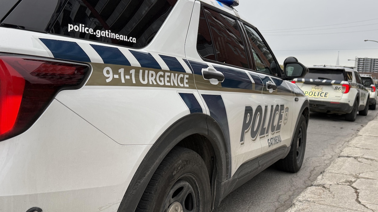 Un Gatinois de 19 ans arrêté pour pédocriminalité
