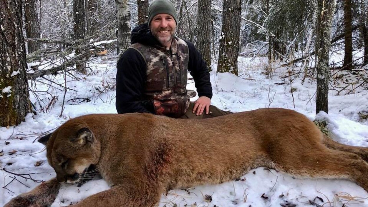 Un animateur montré du doigt pour avoir tué un cougar en Alberta ICI