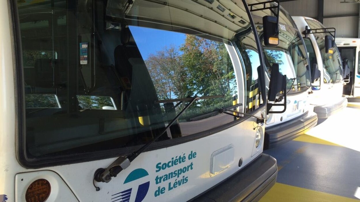 Société de transport de Lévis Société de transport de Lévis