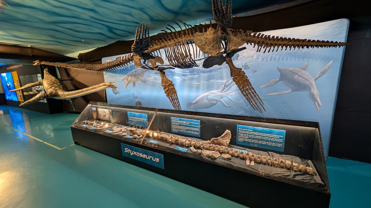 Un Styxosaurus inauguré au Canadian Fossil Discovery Centre à Morden