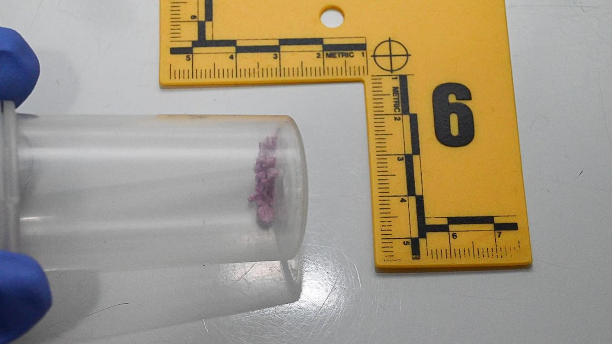 Commandée en ligne, une drogue contaminée au fentanyl cause une surdose mortelle