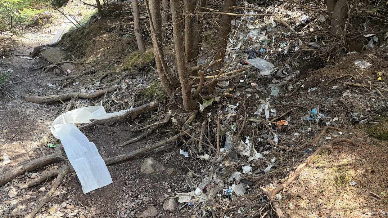 Les déchets du dépotoir envahissent un tronçon de l’East Coast Trail