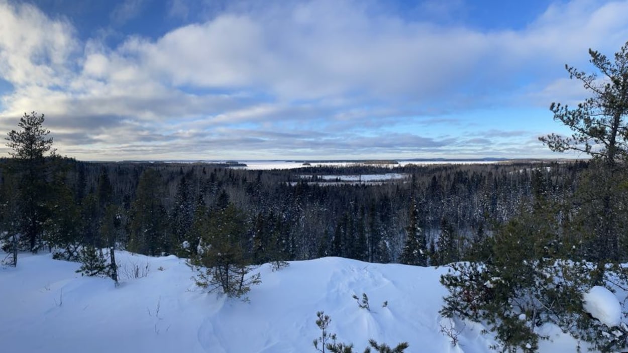 La MRC promet d’épargner une forêt de Sullivan prisée par les randonneurs