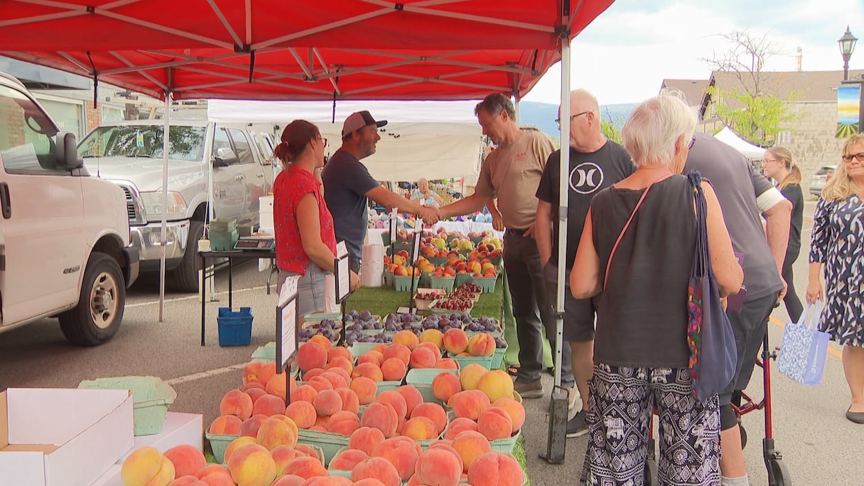 Un premier marché à Summerland après le feu