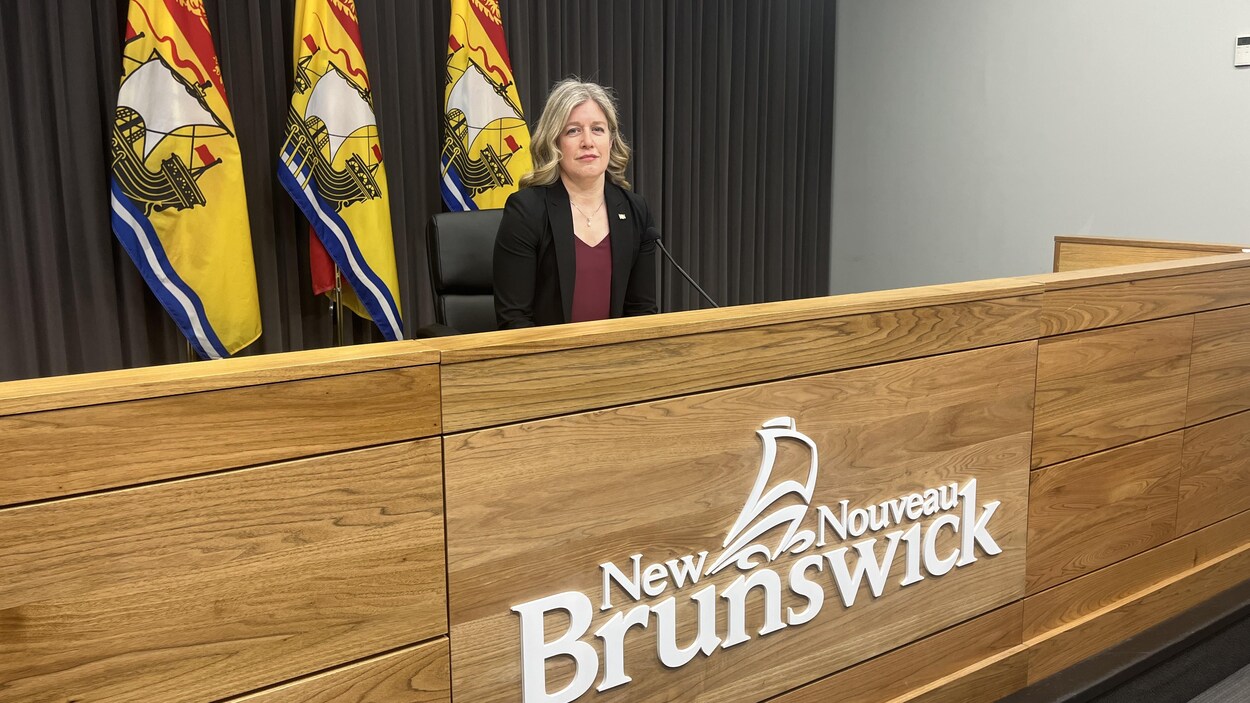 Tarifs sur l’électricité vers le Maine : toujours pas le moment, dit Holt