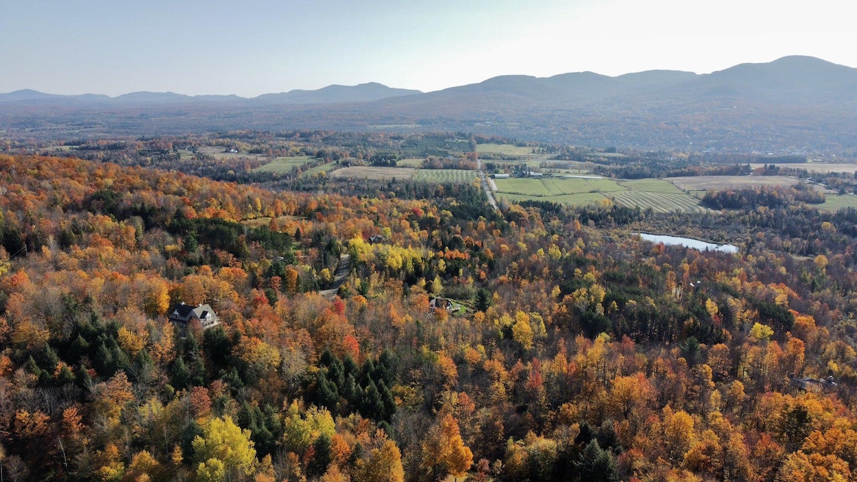 Quoi surveiller dans les circonscriptions de l’Estrie