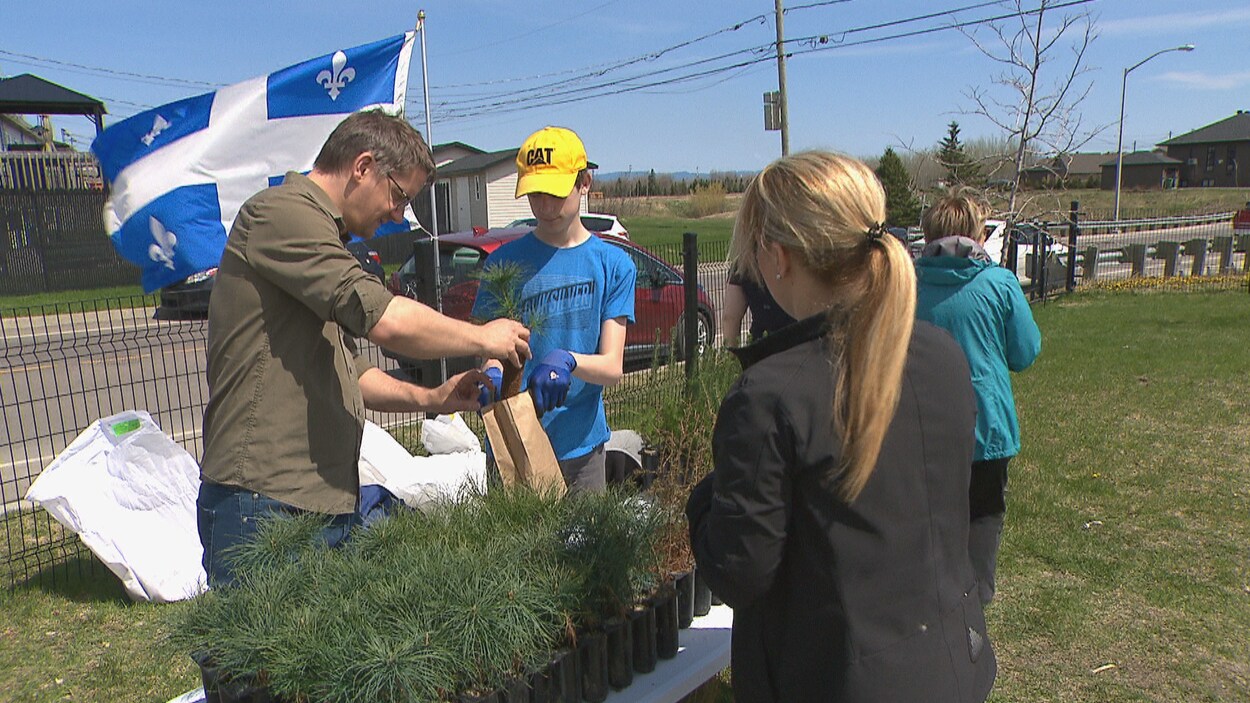 Sylvain Gaudreault qui donne un arbre Sylvain Gaudreault qui donne un arbre