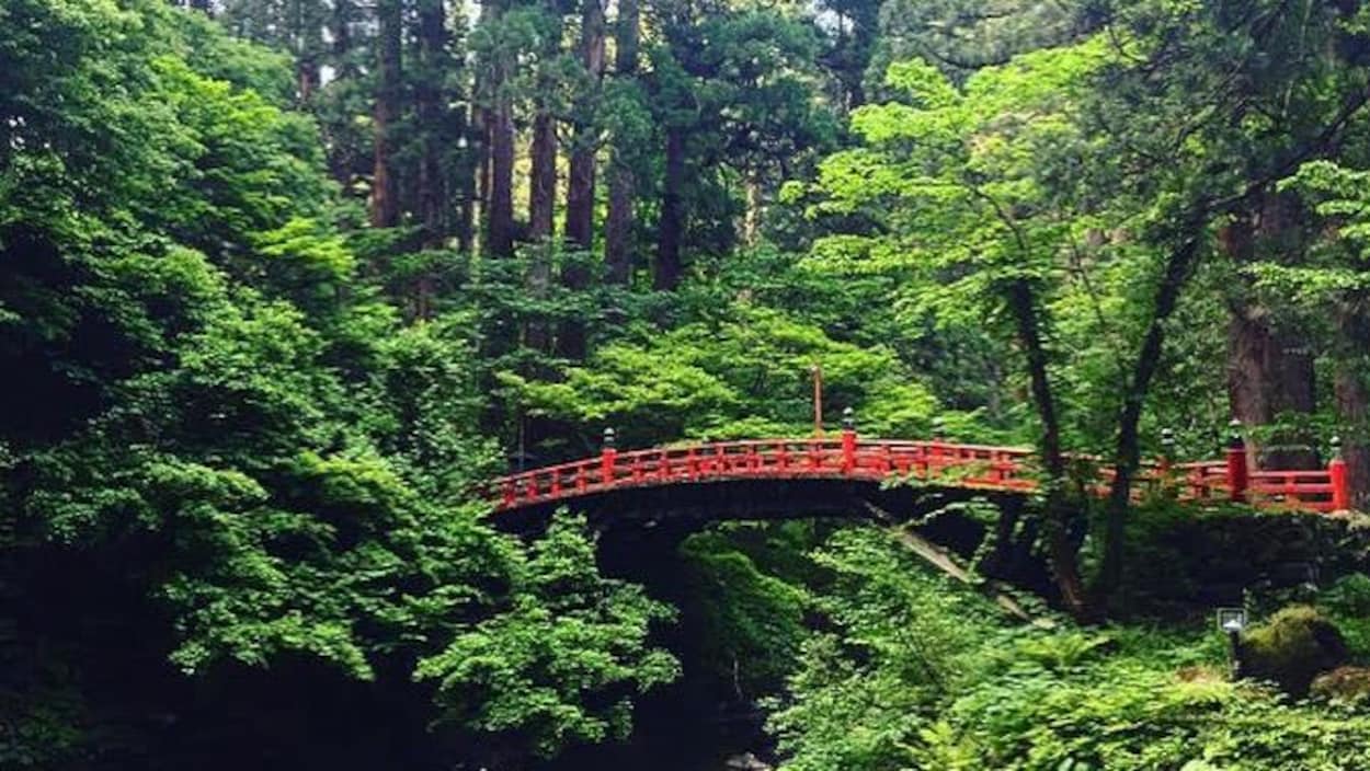 Un pont japonais rouge dans la verdure d'une forêt.