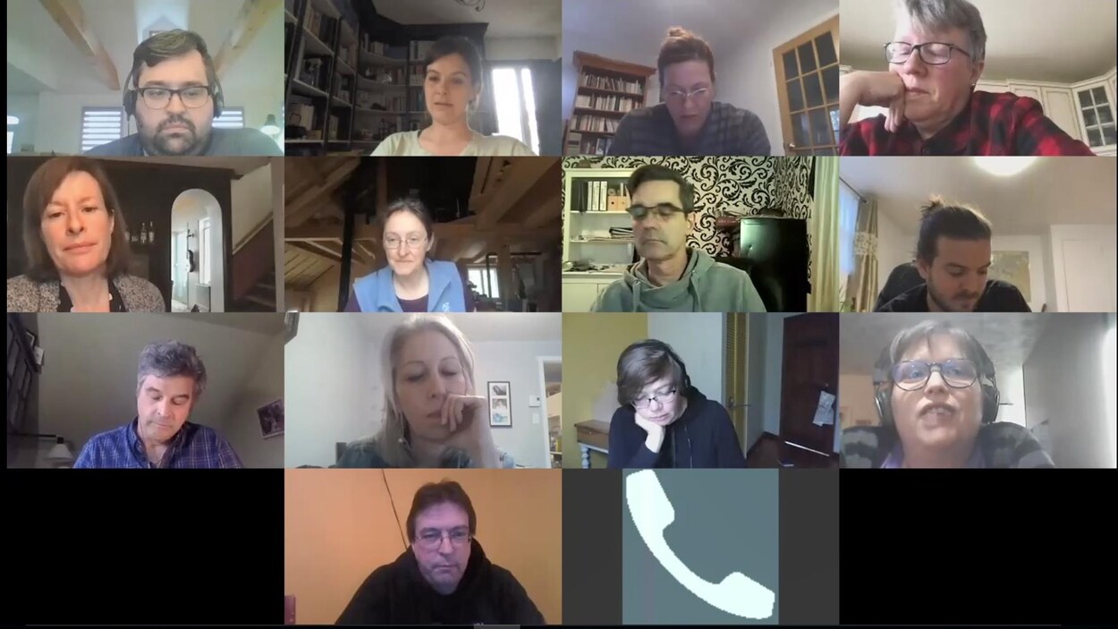 Capture d'écran d'une réunion en visioconférence de 14 personnes.