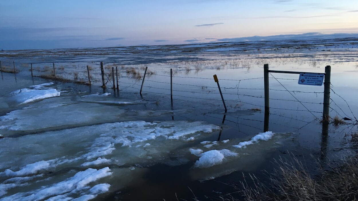 Un champ clôturé sous les eaux et de la neige fondante près de Taber Un champ clôturé sous les eaux et de la neige fondante près de Taber