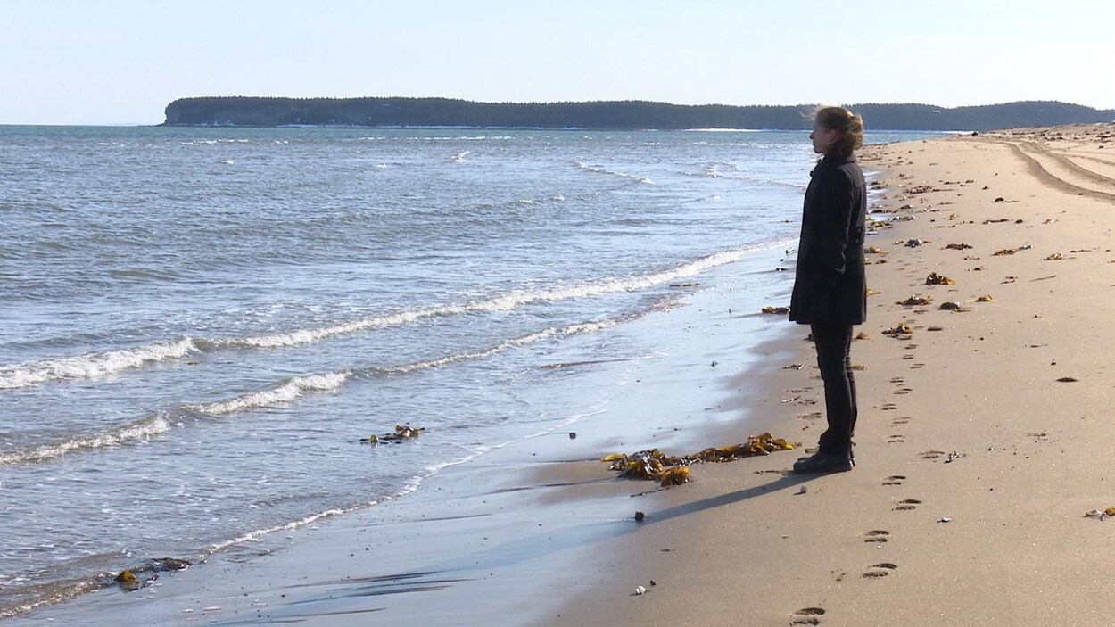 L'auteure jeunesse Tania Boulet est sur la plage, le regard tourné vers la mer. L'auteure jeunesse Tania Boulet est sur la plage, le regard tourné vers la mer.
