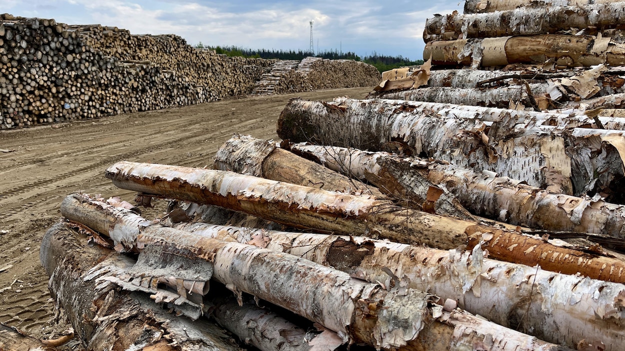 Tarifs : l’industrie forestière de la Mauricie devant l’imprévisibilité