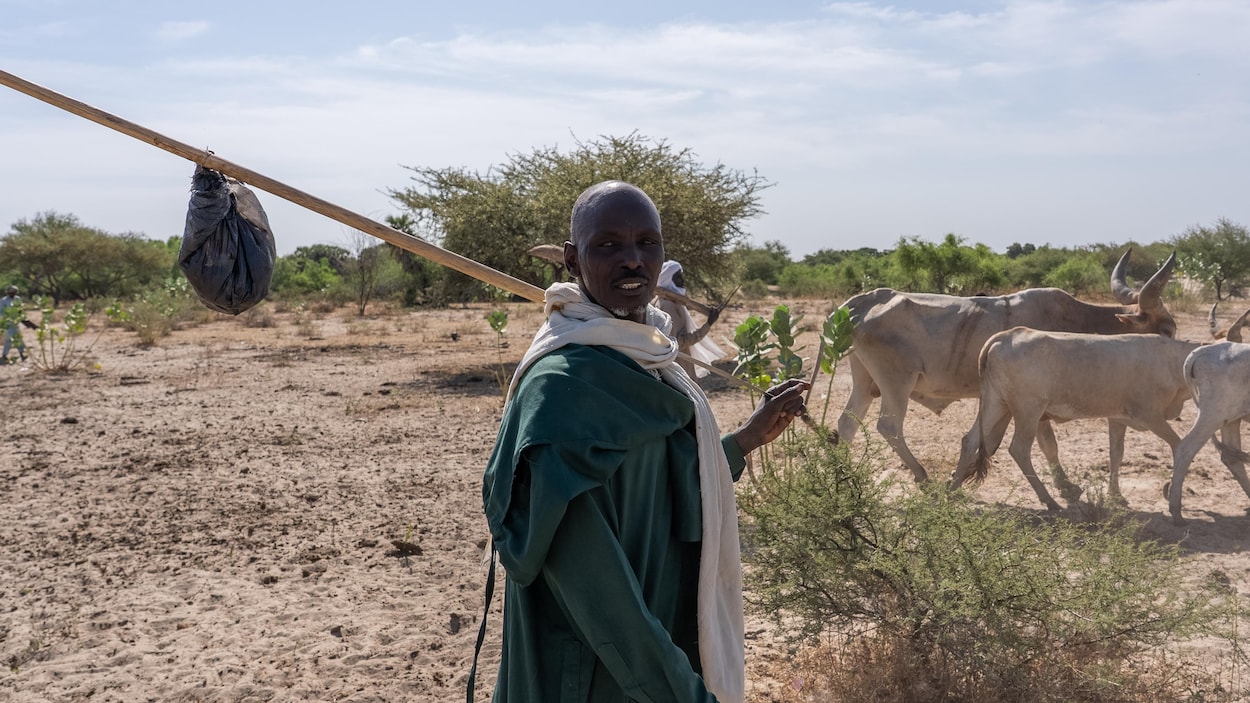 Au Tchad pour montrer l’impact des changements climatiques | En bref ...