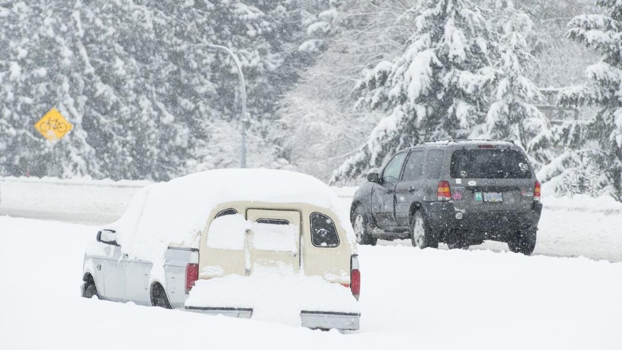 Des voitures prises dans la neige en bordure d'une route.