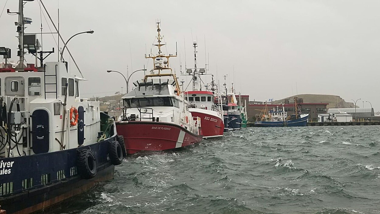 Les bateaux de pêche ne semblent pas faire grand cas des petites vagues.