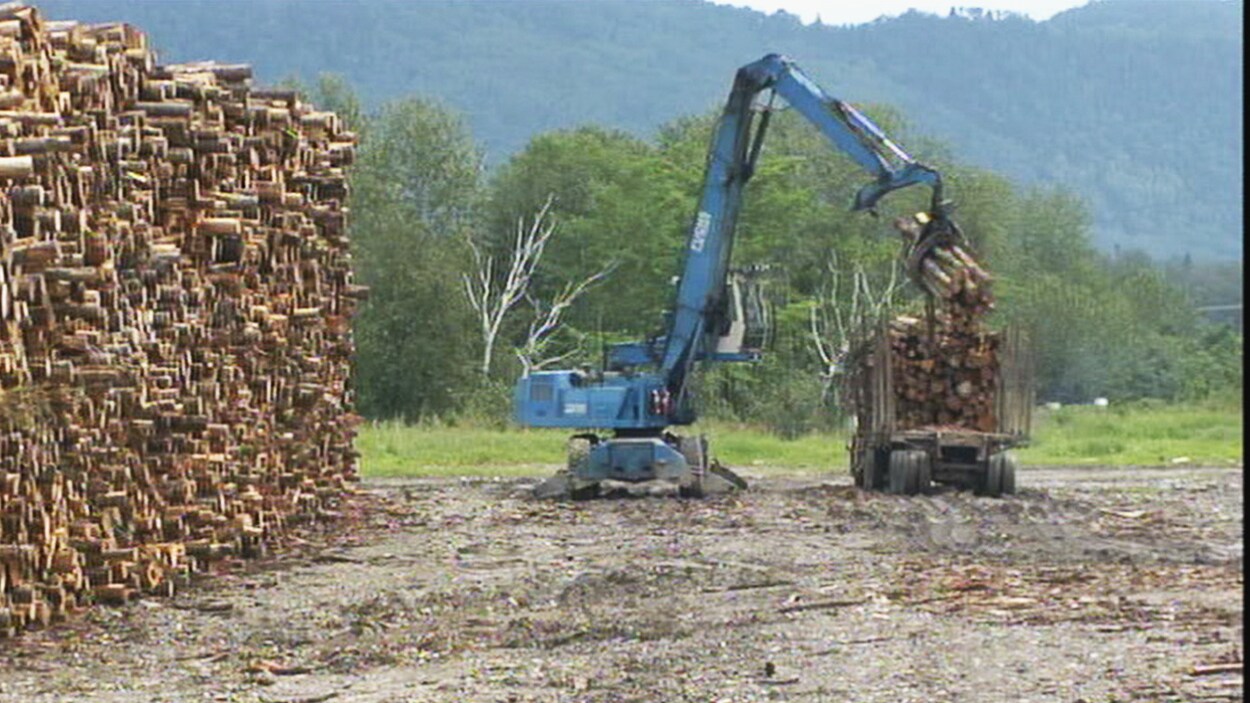 Une pelle mécanique, aux côtés de billots de bois, en transporte quelques-uns sur une remorque.