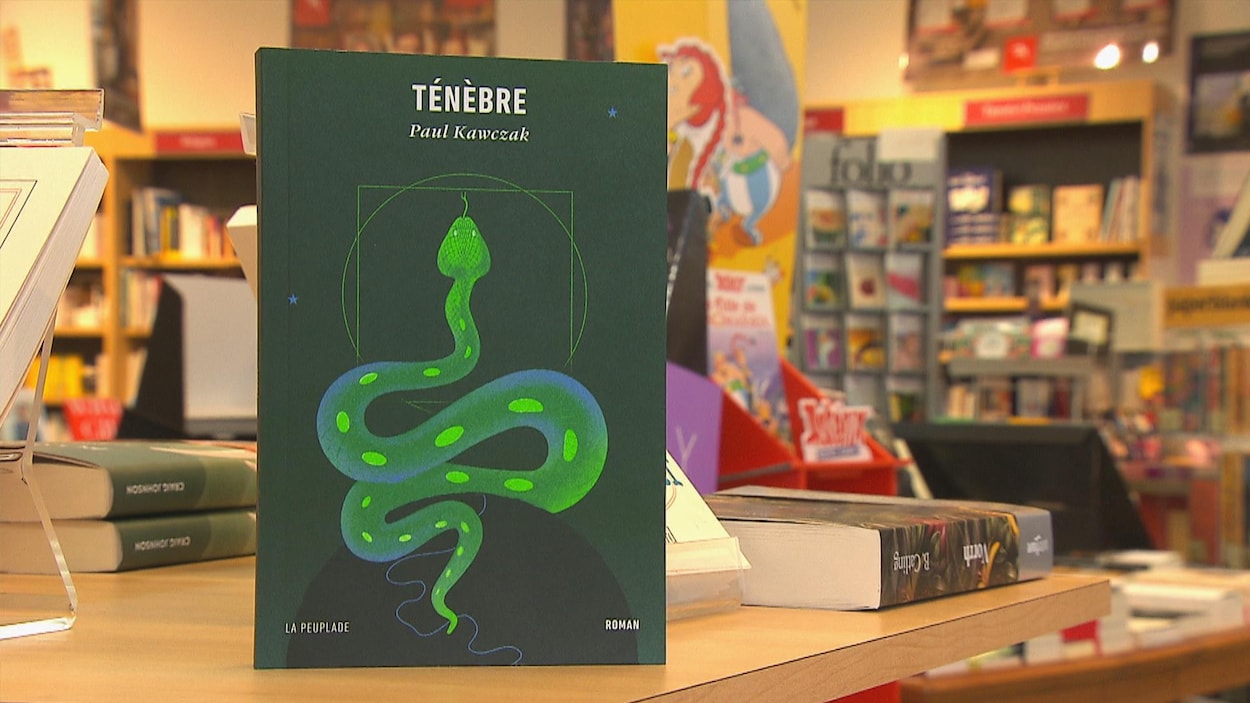 Le livre dans une librairie.