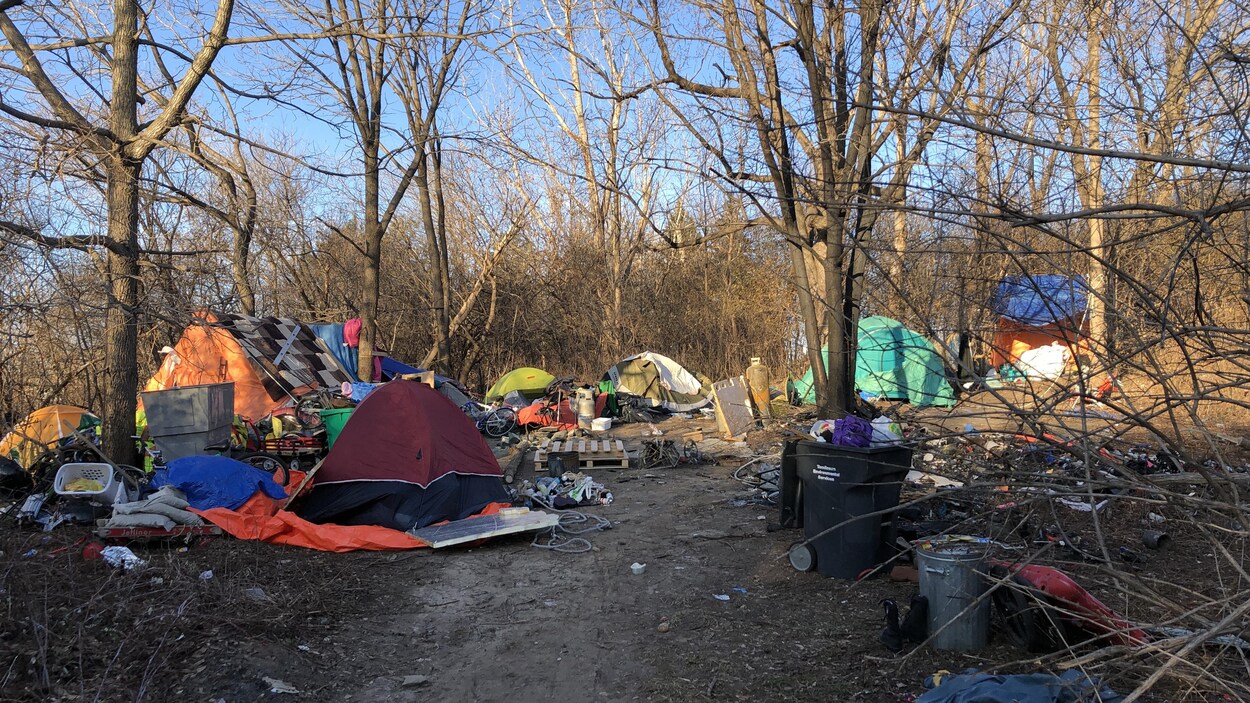 Des tentes disposées en cercle dans un petit boisé. Des détritus jonchent le sol.