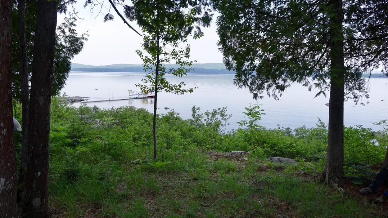 Terrain boisé près du lac Matapédia