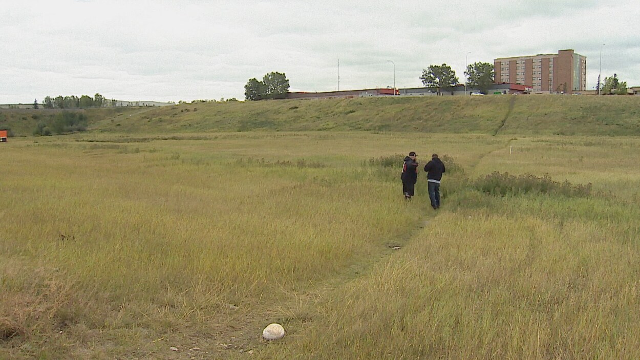 Deux hommes se tiennent dans un terrain vague couvert d'herbe en bordure d'une route.