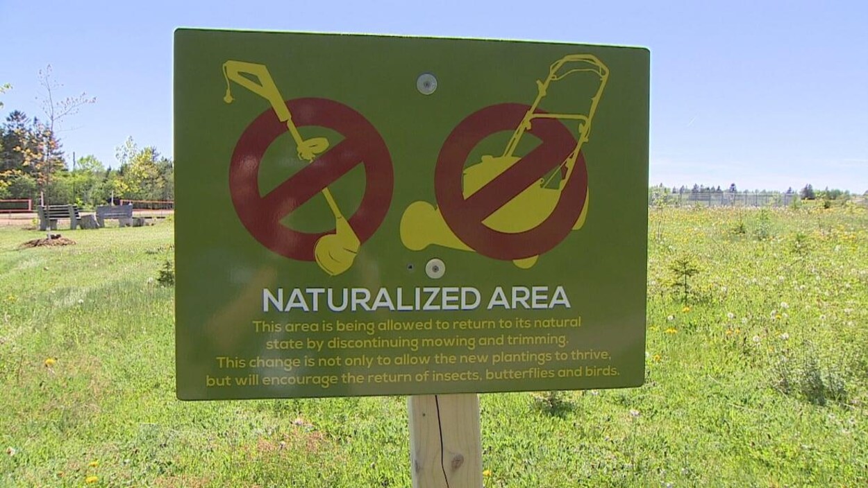 Un panneau indique qu'il n'y aura plus de tonte de gazon sur un terrain public.